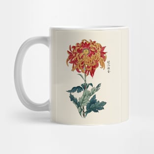 Chrysanthemum Antique Japanese Botanical Illustration Mug